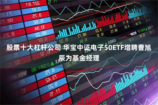 股票十大杠杆公司 华宝中证电子50ETF增聘曹旭辰为基金经理