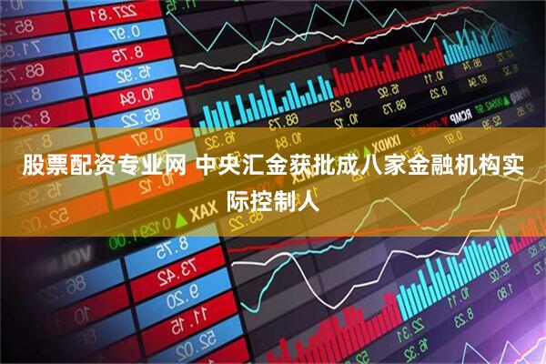股票配资专业网 中央汇金获批成八家金融机构实际控制人