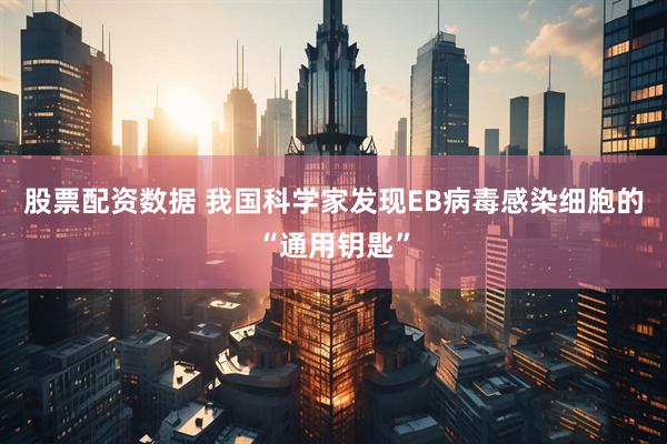股票配资数据 我国科学家发现EB病毒感染细胞的“通用钥匙”
